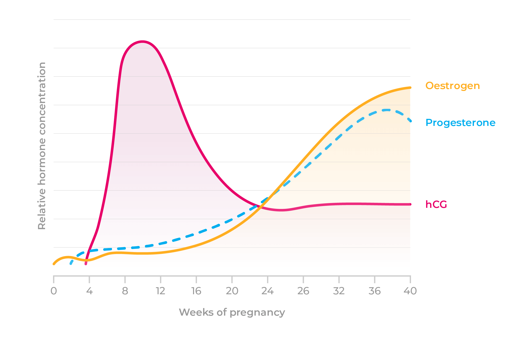 Pregnancy-hormone-graph